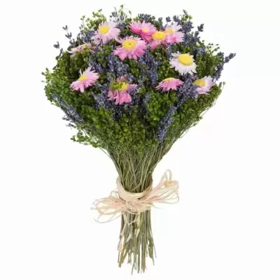 Стабилизированный букет Лаванда с розовым акроклинумом