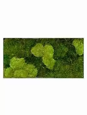 Панно из стабилизированного мха Moss painting Stiel L Панно из стабилизированного мха Moss painting Stiel L