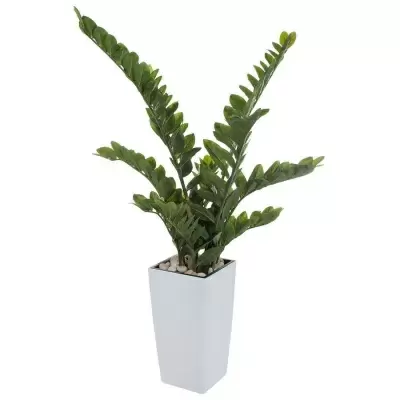 НоменклатураПрисоединенныеФайлы