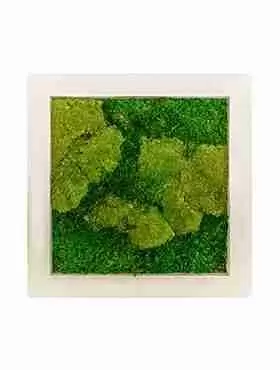 Панно из стабилизированного мха Moss painting Natural  Панно из стабилизированного мха Moss painting Natural