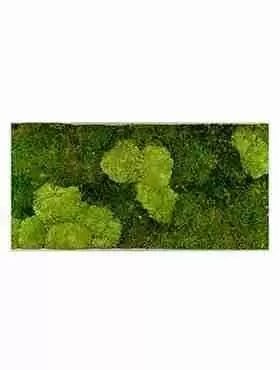 Панно из стабилизированного мха Moss painting Superline L Панно из стабилизированного мха Moss painting Superline L