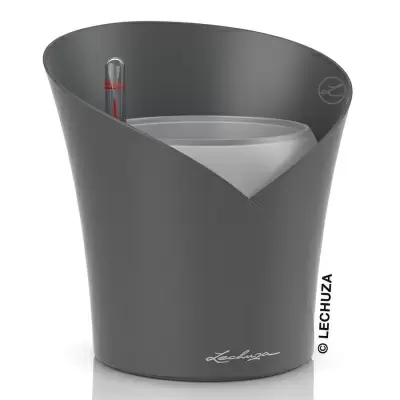 Кашпо Lechuza Orchidea