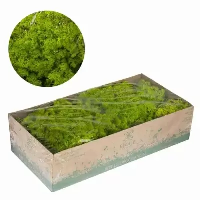 Ягель стабилизированный светло-зеленый Ягель стабилизированный светло-зеленый