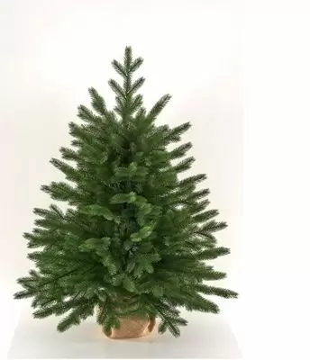 Ель настольная искусственная 