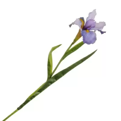 Ирис искусственный