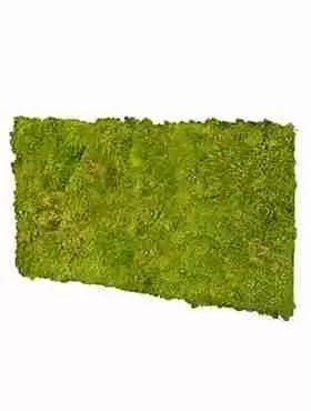 Панель из стабилизированного мха, фисташковый Панель из стабилизированного мха, фисташковый