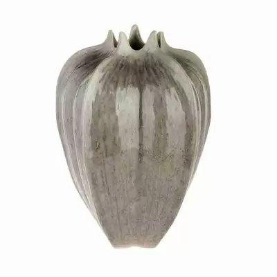 3D Ваза Carambola