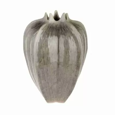 3D Ваза Carambola 3D Ваза Carambola