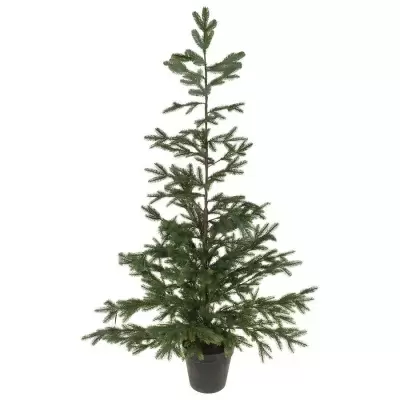 НоменклатураПрисоединенныеФайлы