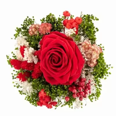 Стабилизированный букет Прекрасный