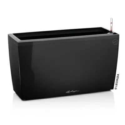 Кашпо Lechuza Cararo