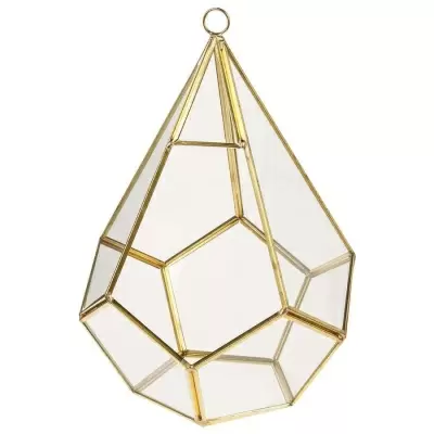 Флорариум стеклянный Гамильтон