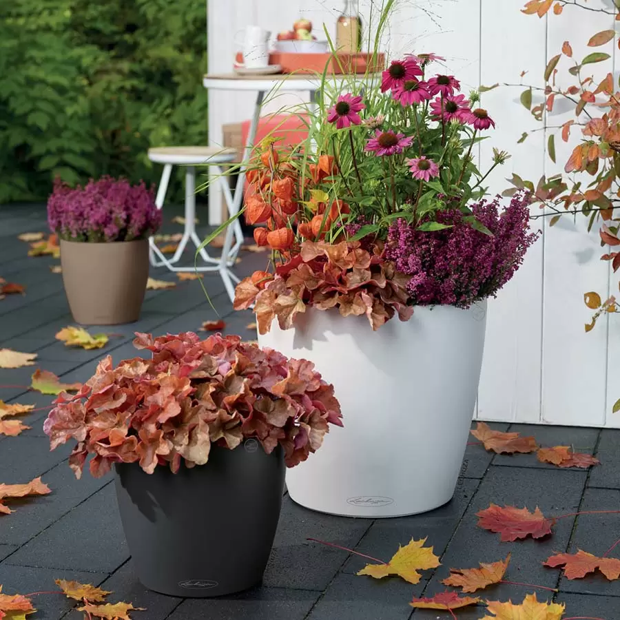 Распродажа 11.11 в KupiKashpo! Распродажа 11.11 в KupiKashpo!