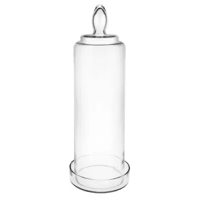 Стеклянный флорариум 