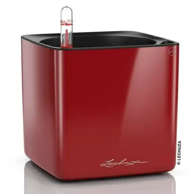 Кашпо Lechuza Cube Glossy