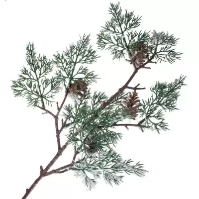 НоменклатураПрисоединенныеФайлы