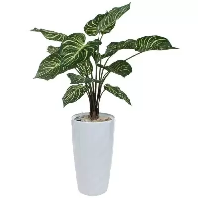 Растение искусственное Калатея в горшке Vase Rib