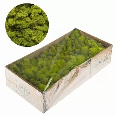 НоменклатураПрисоединенныеФайлы НоменклатураПрисоединенныеФайлы