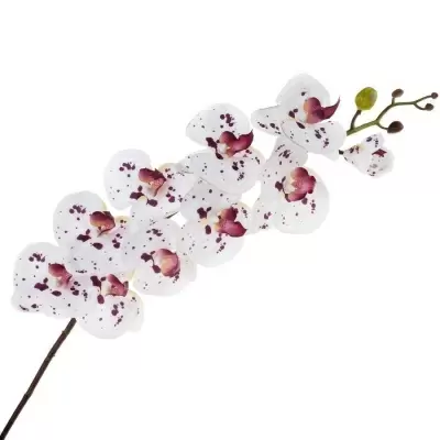 Фаленопсис силиконовый