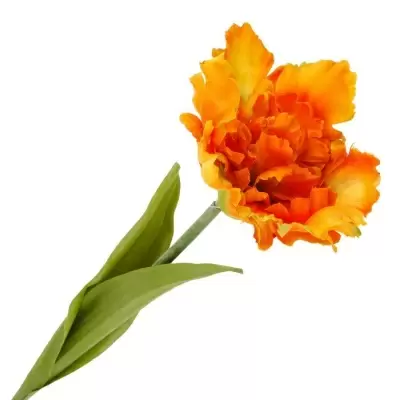 НоменклатураПрисоединенныеФайлы НоменклатураПрисоединенныеФайлы