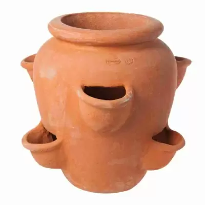 Горшок для цветов Terracotta Gidrius Горшок для цветов Terracotta Gidrius