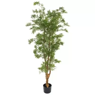 Дерево искусственное Полисциас