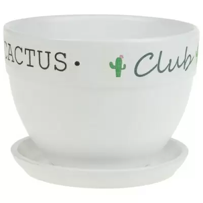 Кашпо White Cactus