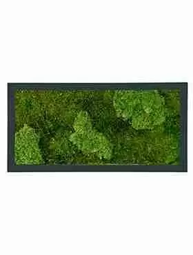 Панно из стабилизированного мха Moss painting Stiel RAL Панно из стабилизированного мха Moss painting Stiel RAL