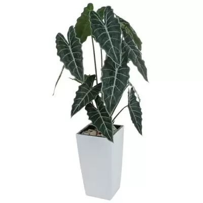 Искусственное растение Алоказия в горшке Conic Silk