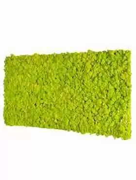 Панель из стабилизированного мха, светло-зеленый Панель из стабилизированного мха, светло-зеленый
