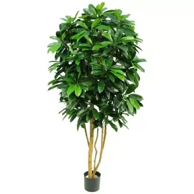 Искусственное дерево Шеффлера 