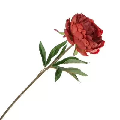 Пион искусственный