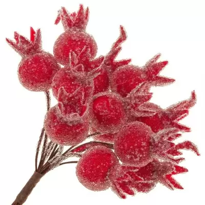 Декоративный набор ягод во льду