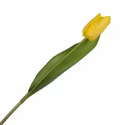 Тюльпан искусственный Тюльпан искусственный