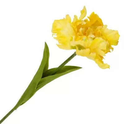 Тюльпан вывернутый искусственный Тюльпан вывернутый искусственный