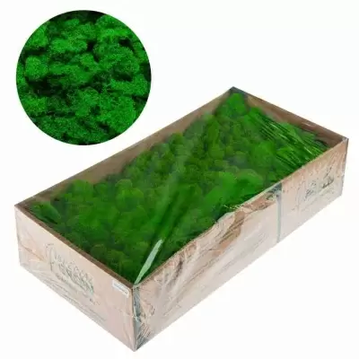 НоменклатураПрисоединенныеФайлы НоменклатураПрисоединенныеФайлы