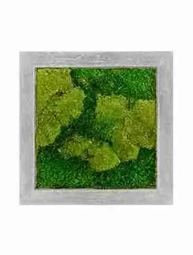 Панно из стабилизированного мха Moss painting Raw Панно из стабилизированного мха Moss painting Raw