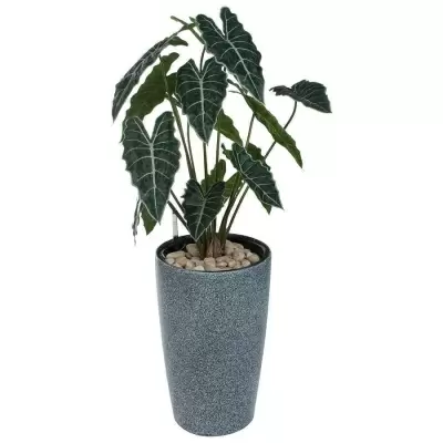 Искусственное растение Алоказия в горшке Vase Stone