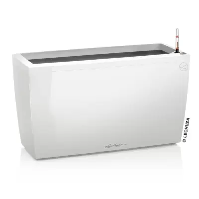 Кашпо Lechuza Cararo