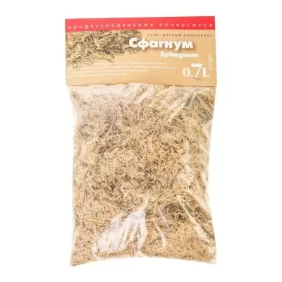 Сфагнум Мох