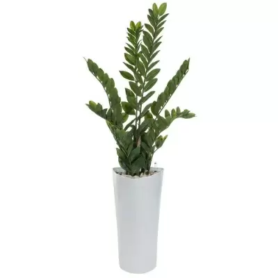 НоменклатураПрисоединенныеФайлы