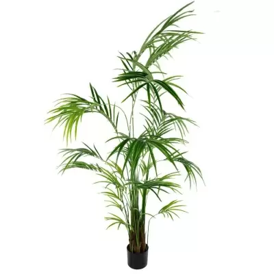 Пальма Кентия искусственная