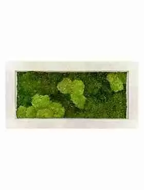Панно из стабилизированного мха Moss painting Natural  Панно из стабилизированного мха Moss painting Natural
