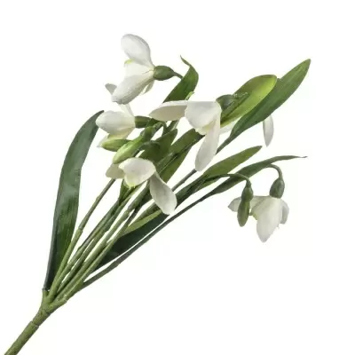 Подснежник искусственный