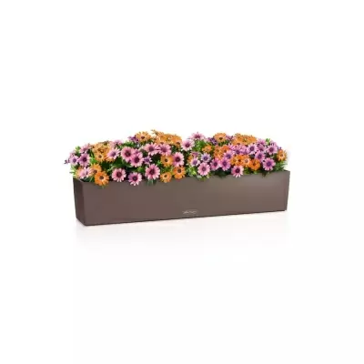 Кашпо Lechuza Balconera Color 100