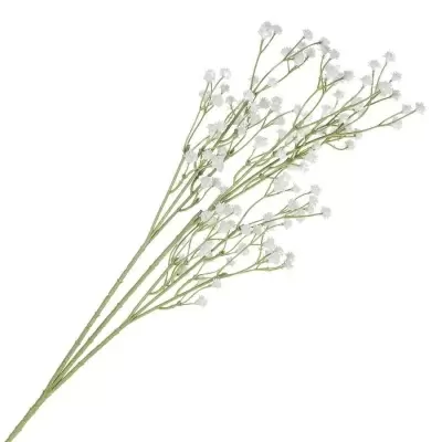 Гипсофила искусственная