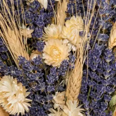 Стабилизированный букет Лаванда с белым цмином