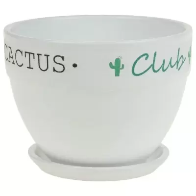 Кашпо White Cactus