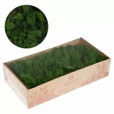 Ягель стабилизированный темно-зеленый Ягель стабилизированный темно-зеленый