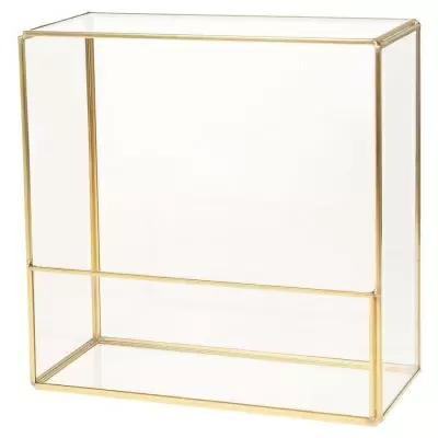 Флорариум стеклянный Швитцер